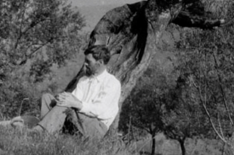 The Novels of D.H. Lawrence: The Pioneer of Sex-Positive British Literature