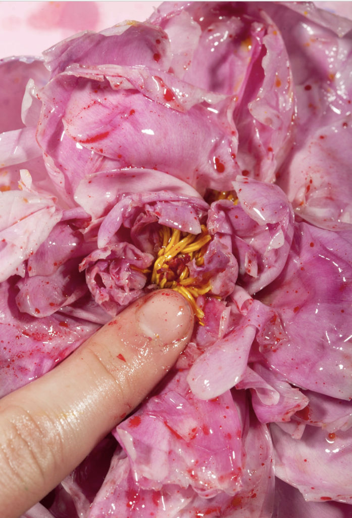 6 erotic photography series by women