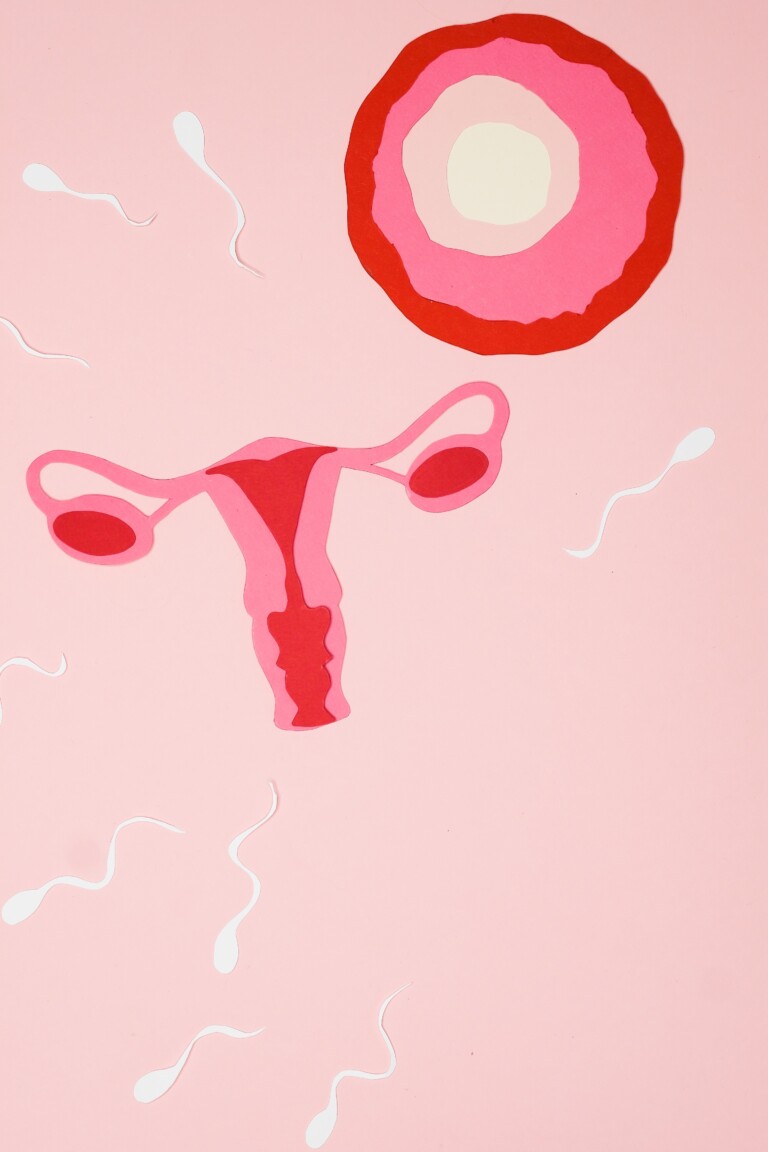 4 Things I Wish They Had Taught Me in Sex Ed