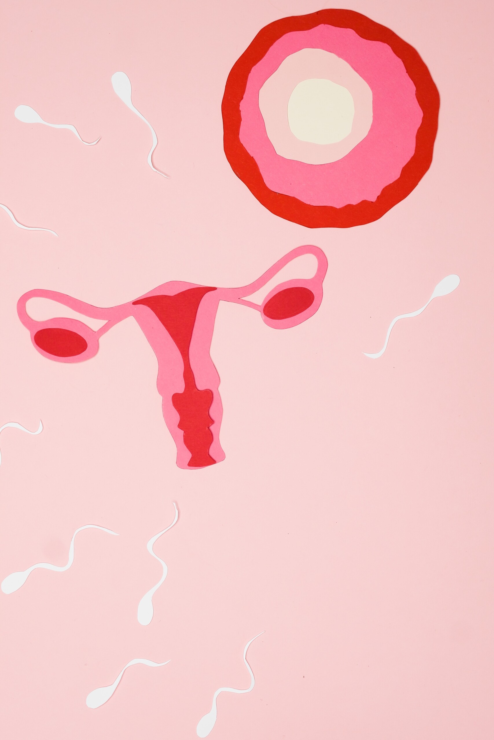 4 Things I Wish They Had Taught Me in Sex Ed